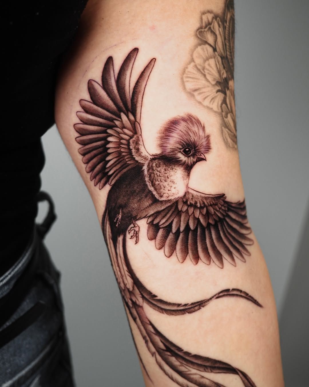 Laura Saenz — tattoo artist