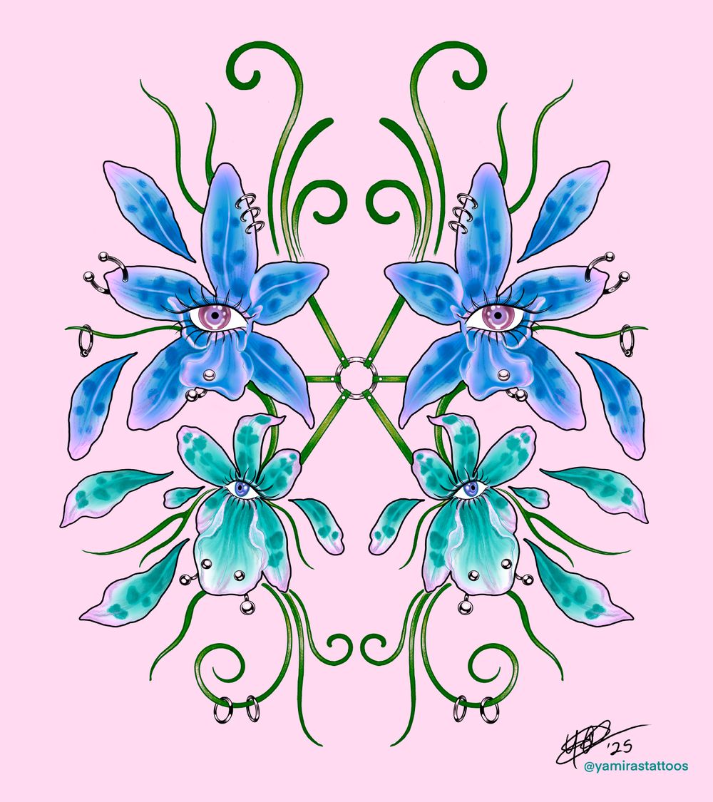 Orchidea 