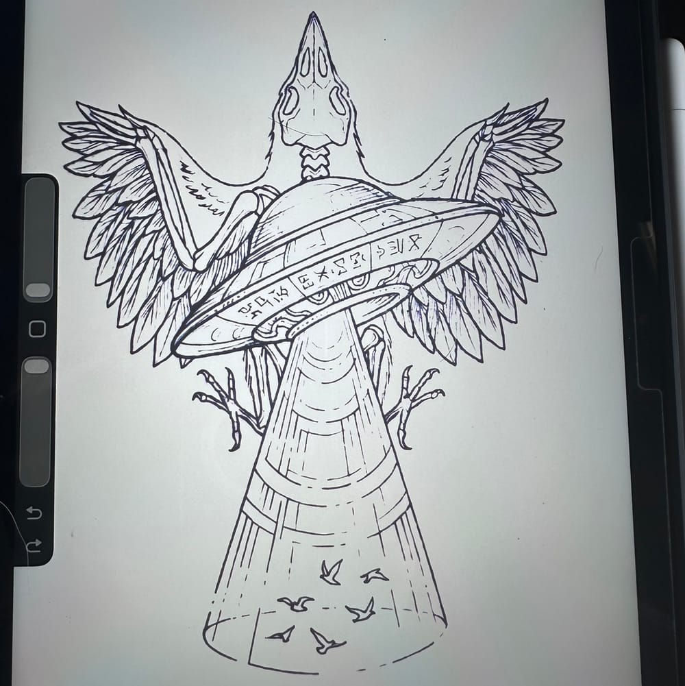 Bird Abduction 