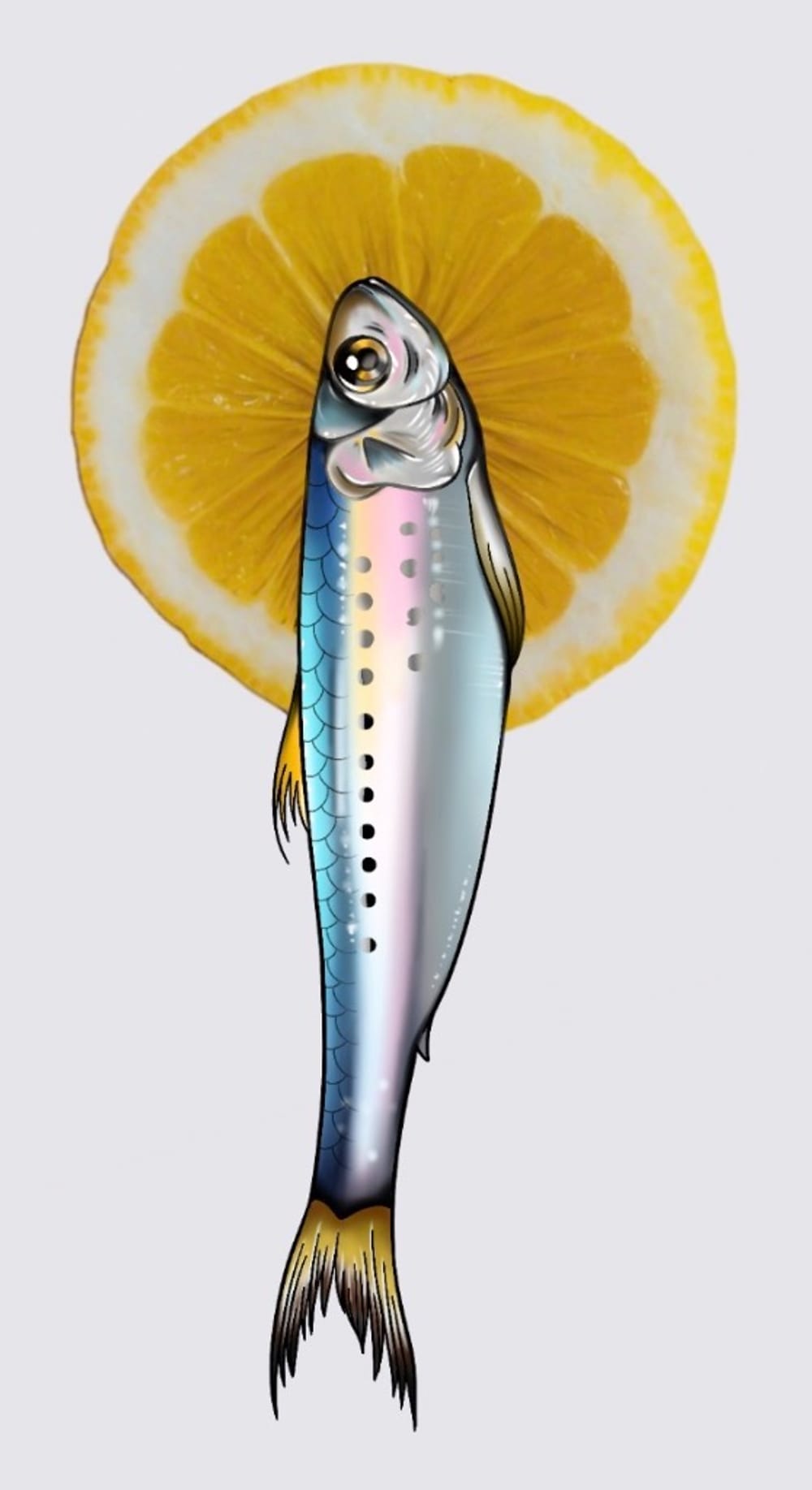 Sardine