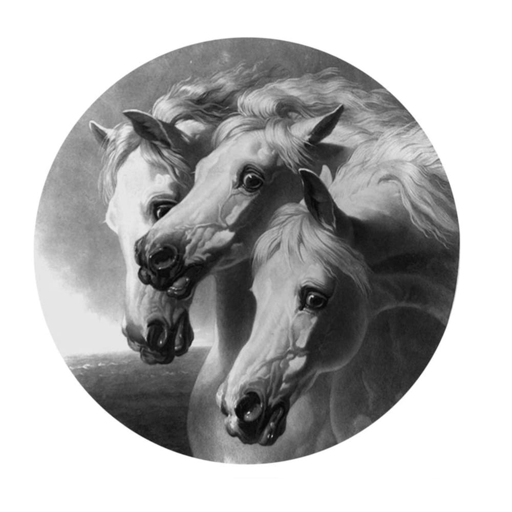 Pharaoh’s Horses  