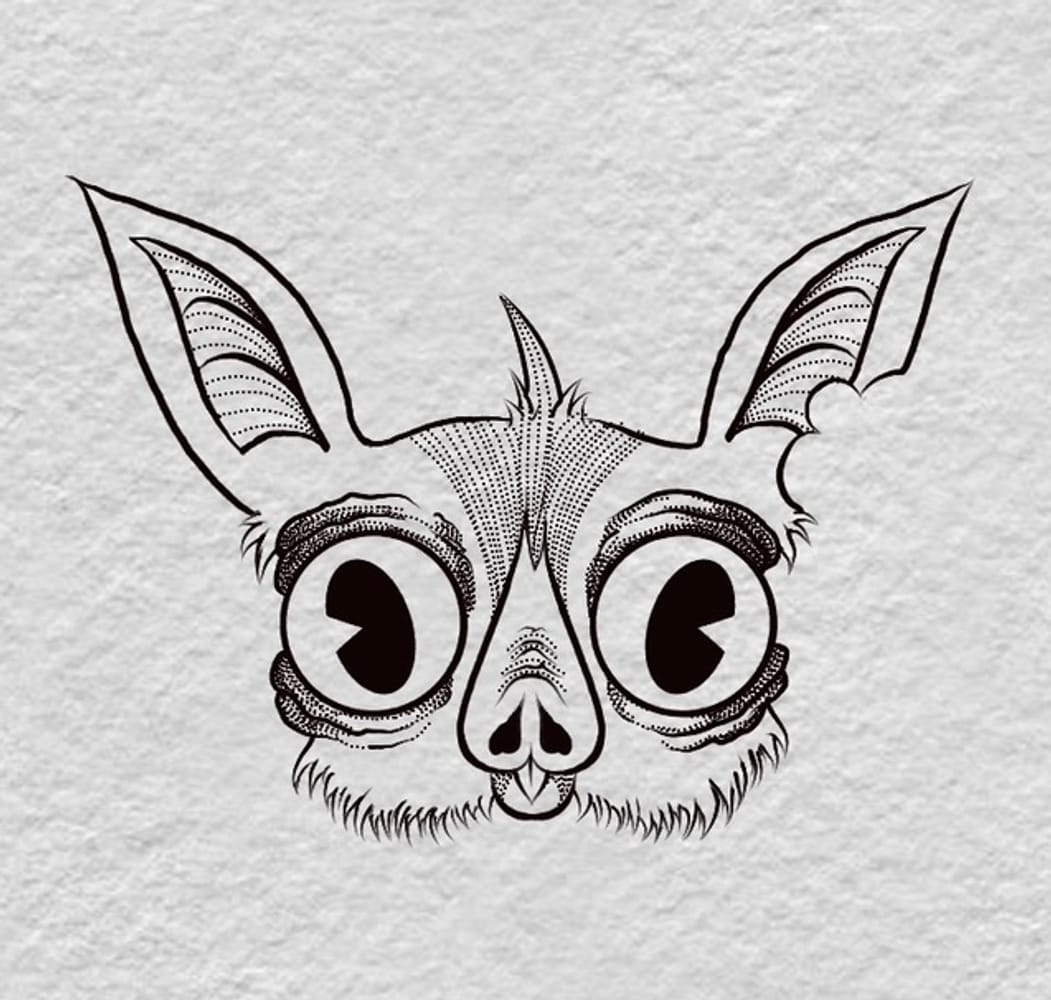 fruit bat. 