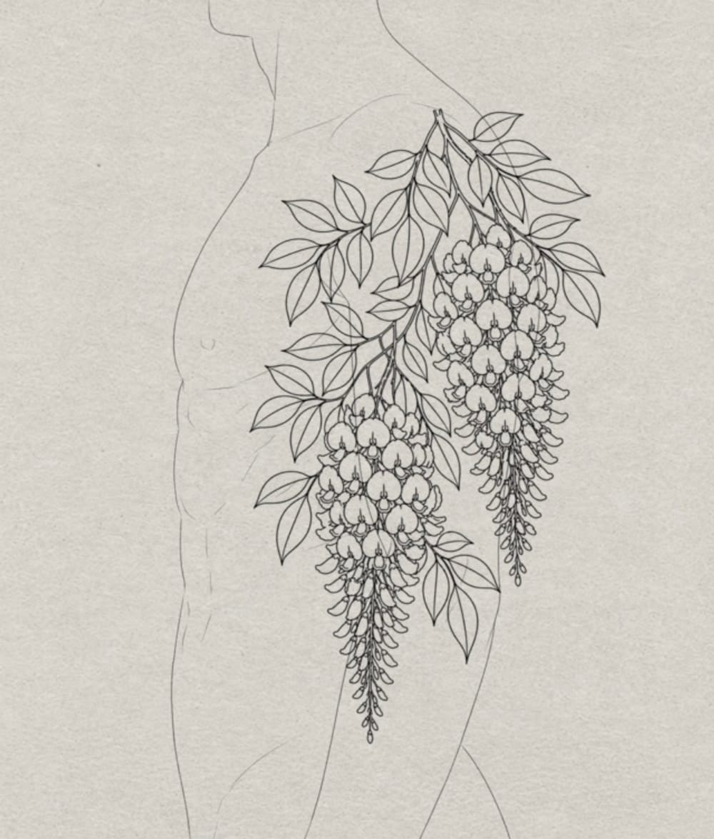 Wisteria