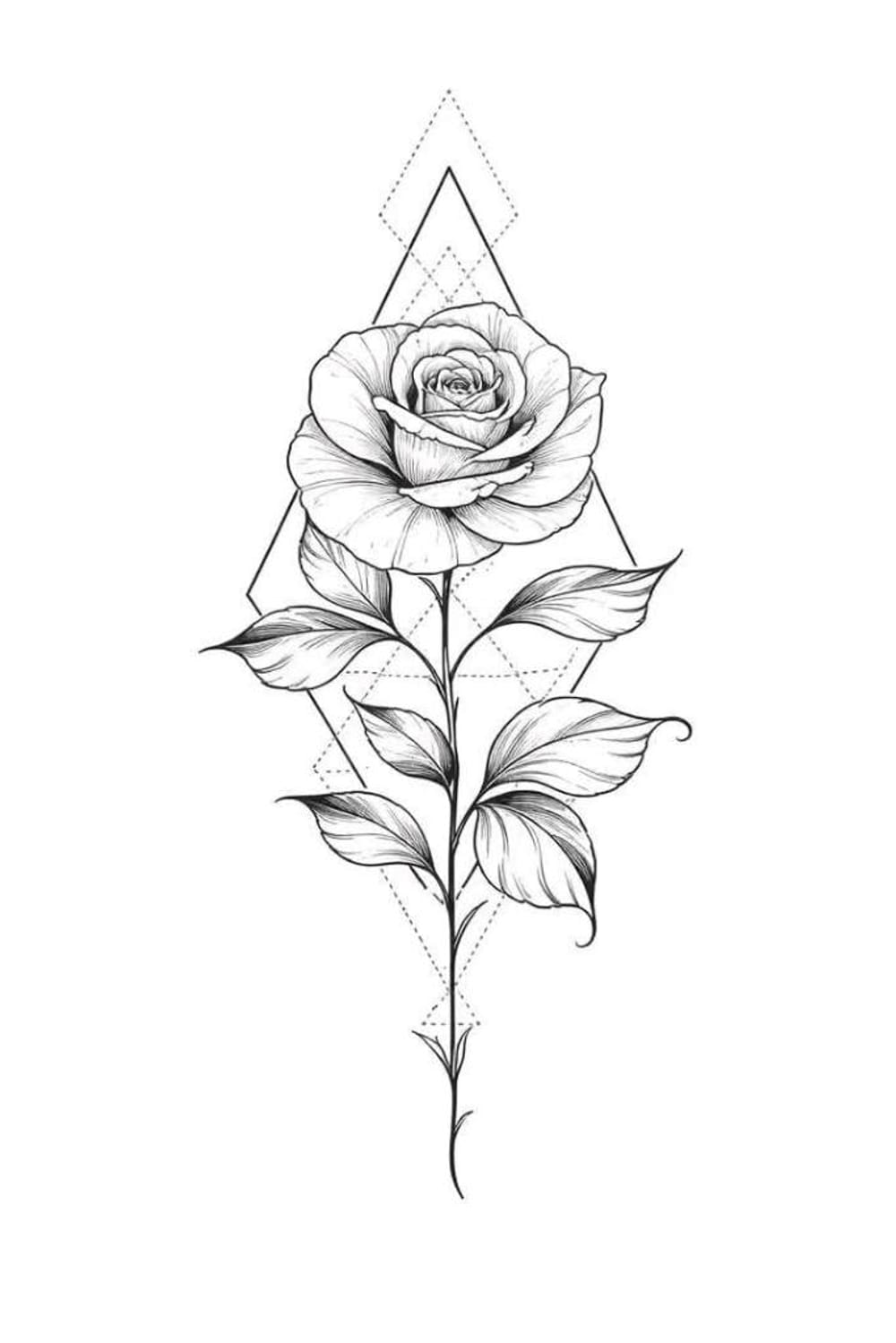 Rose Of Experience 