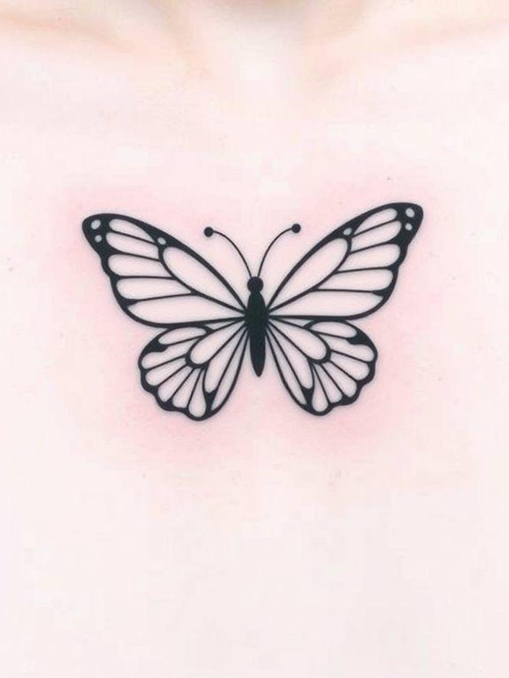 Butterflie Love ❤️ 