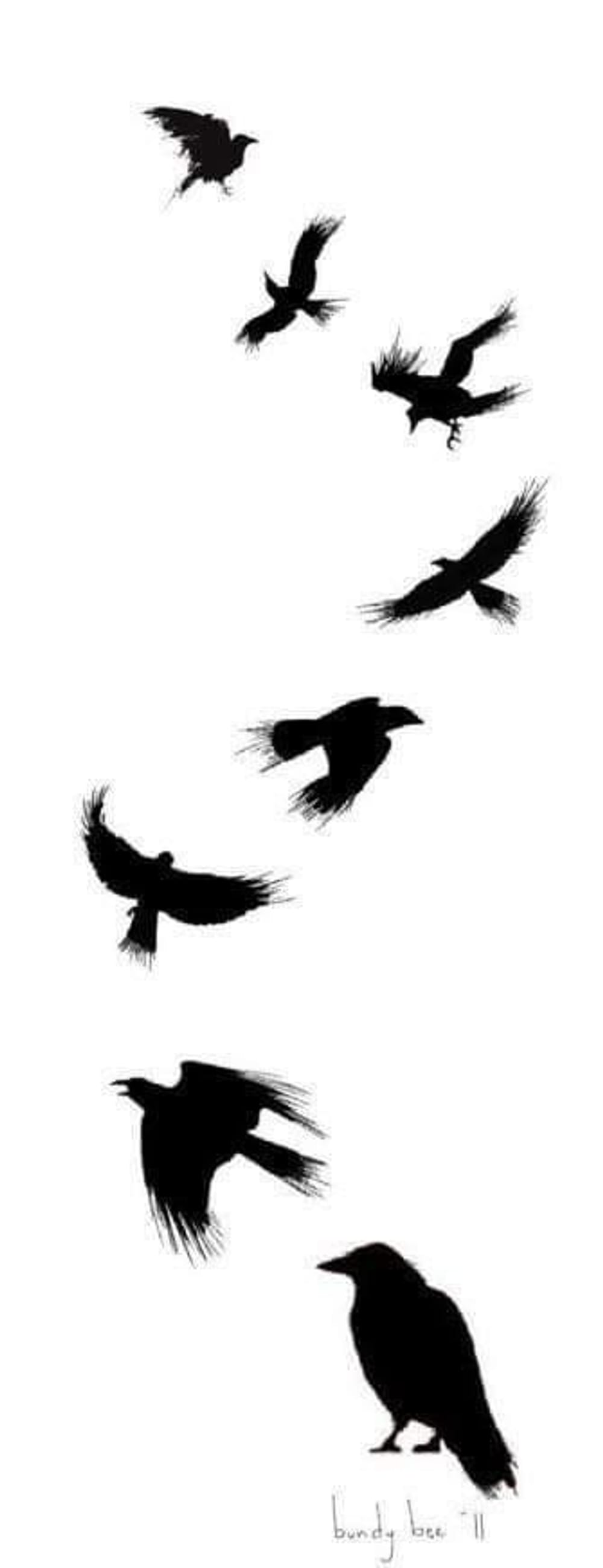 Crow murder