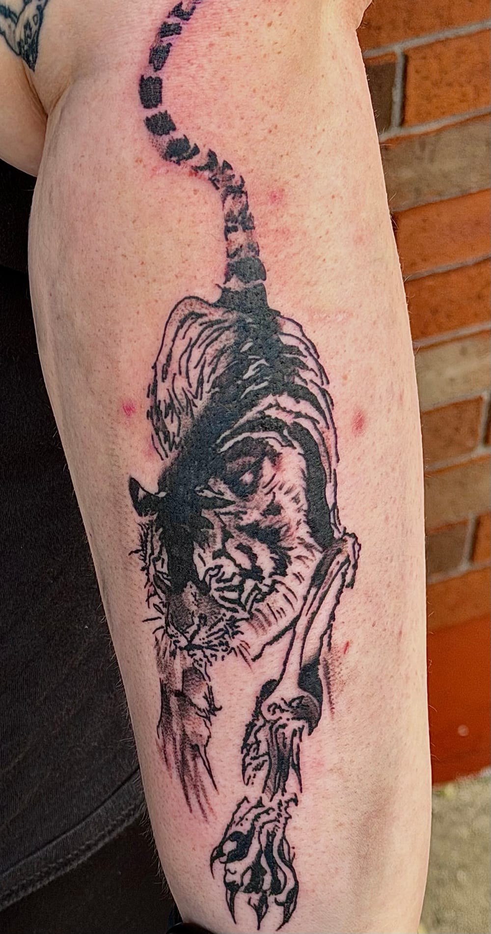 Tatiana Vazquez — tattoo artist