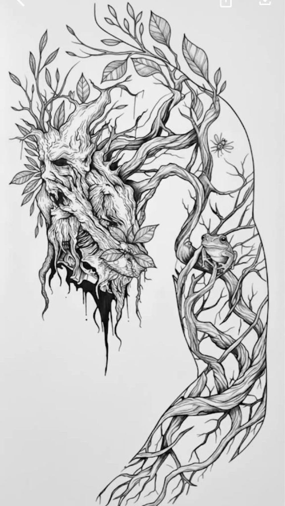 Leshy