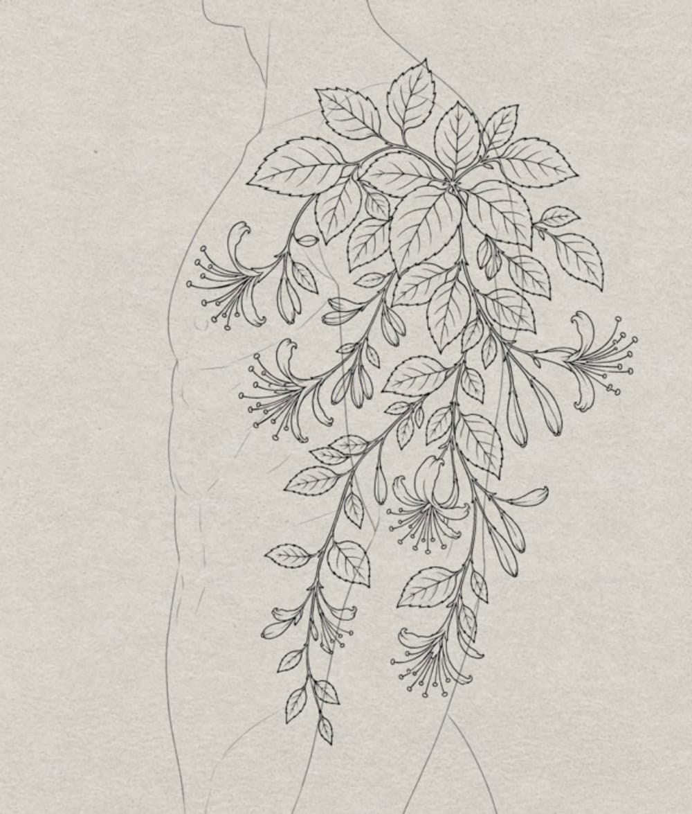 Honeysuckle 