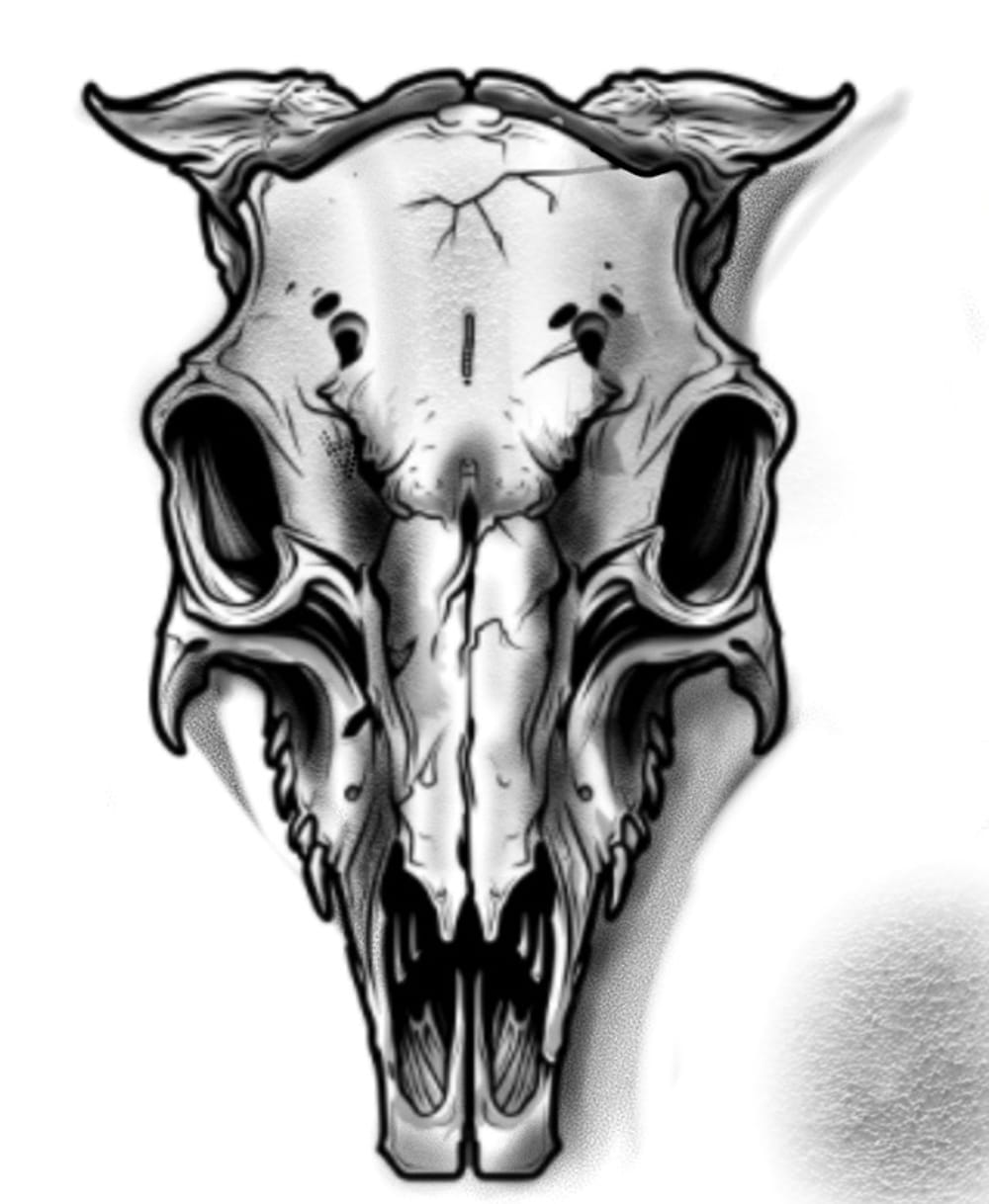 Animal skulls 