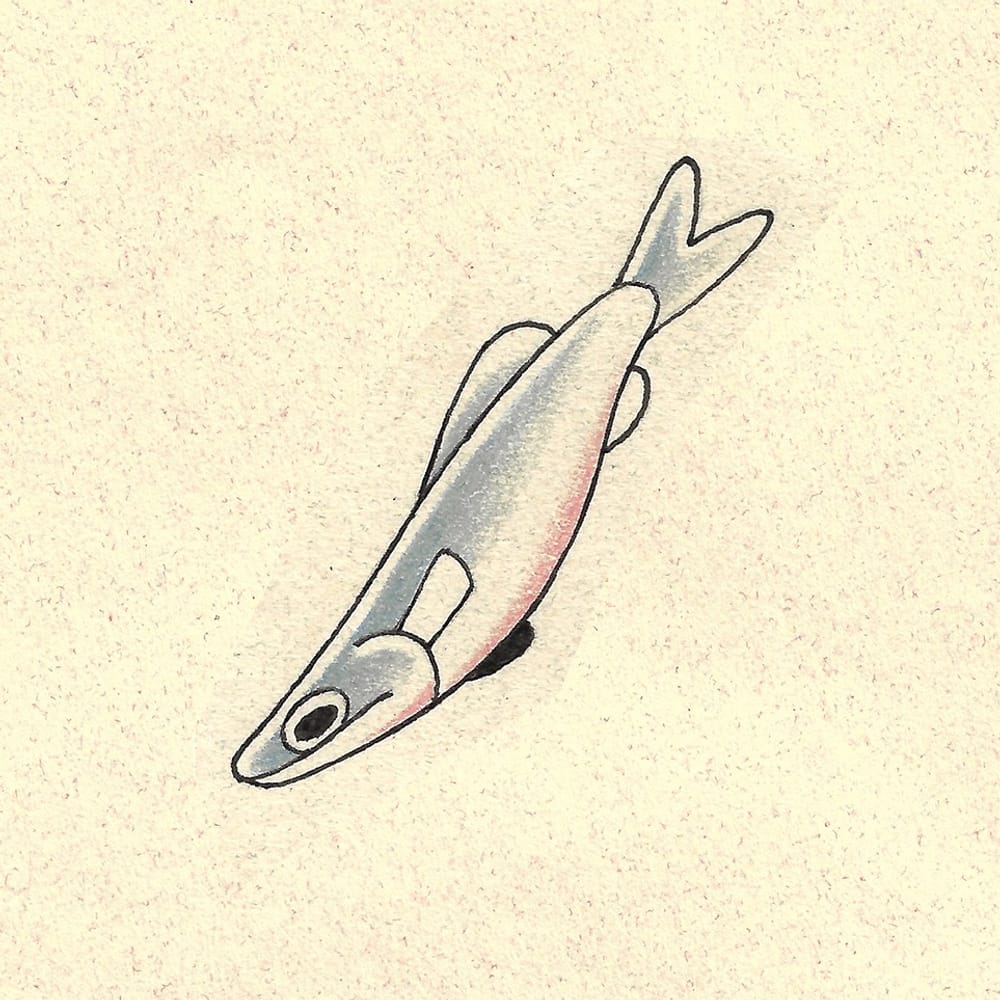 Smol Blue Fish