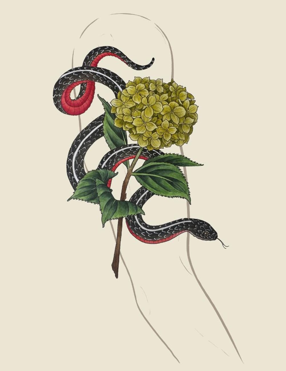 Bloom & Coil