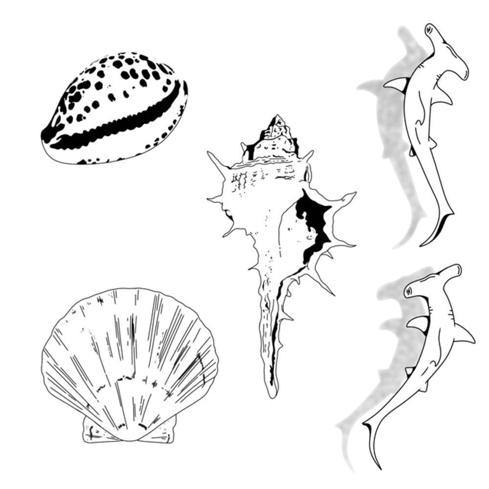 summer ocean flash