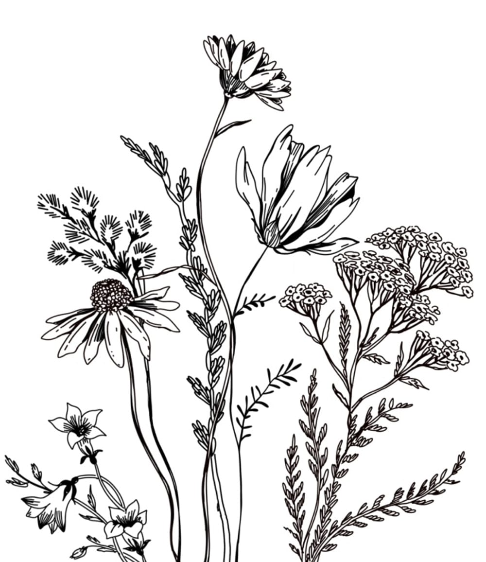 Wildflowers