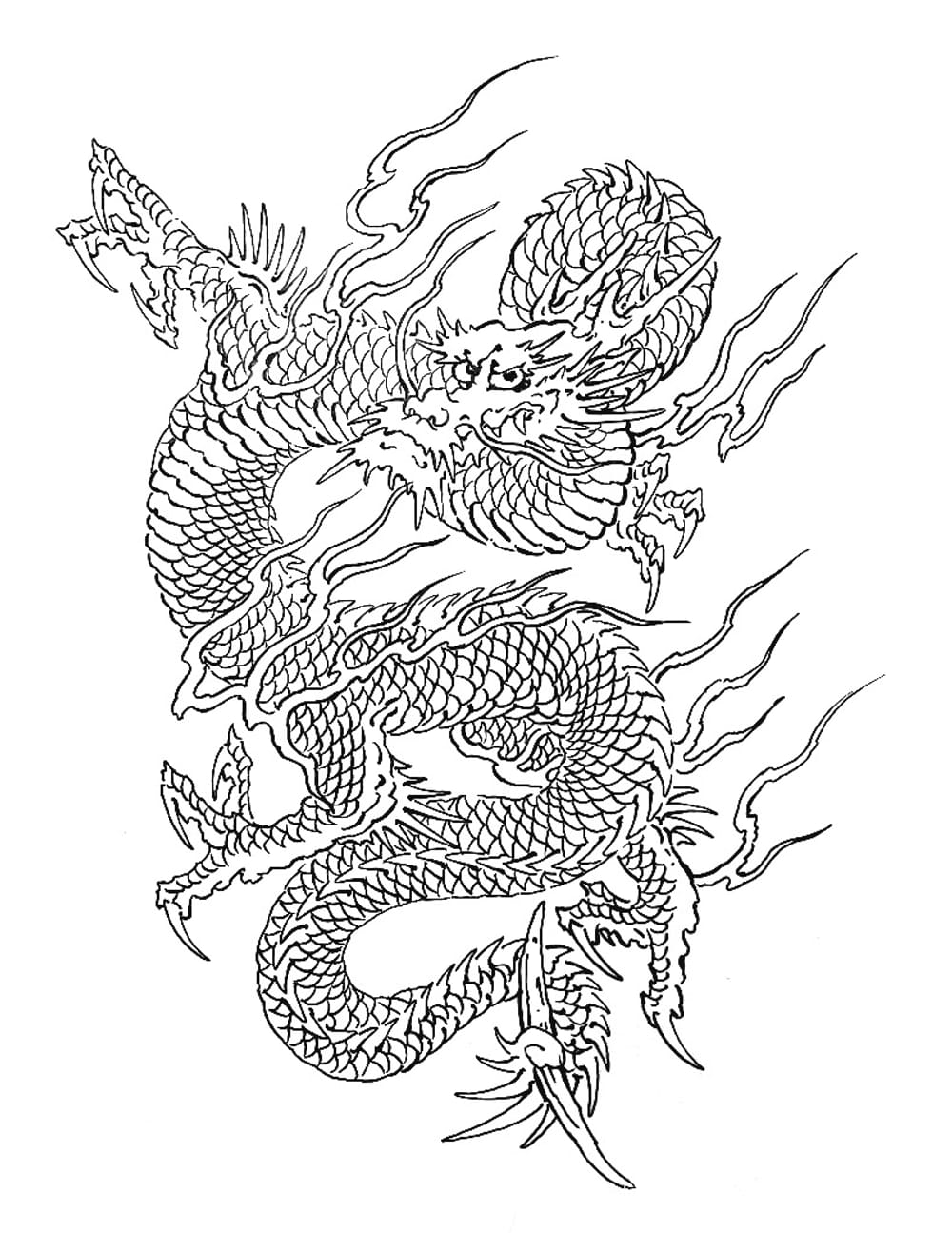 Dragon for front of back