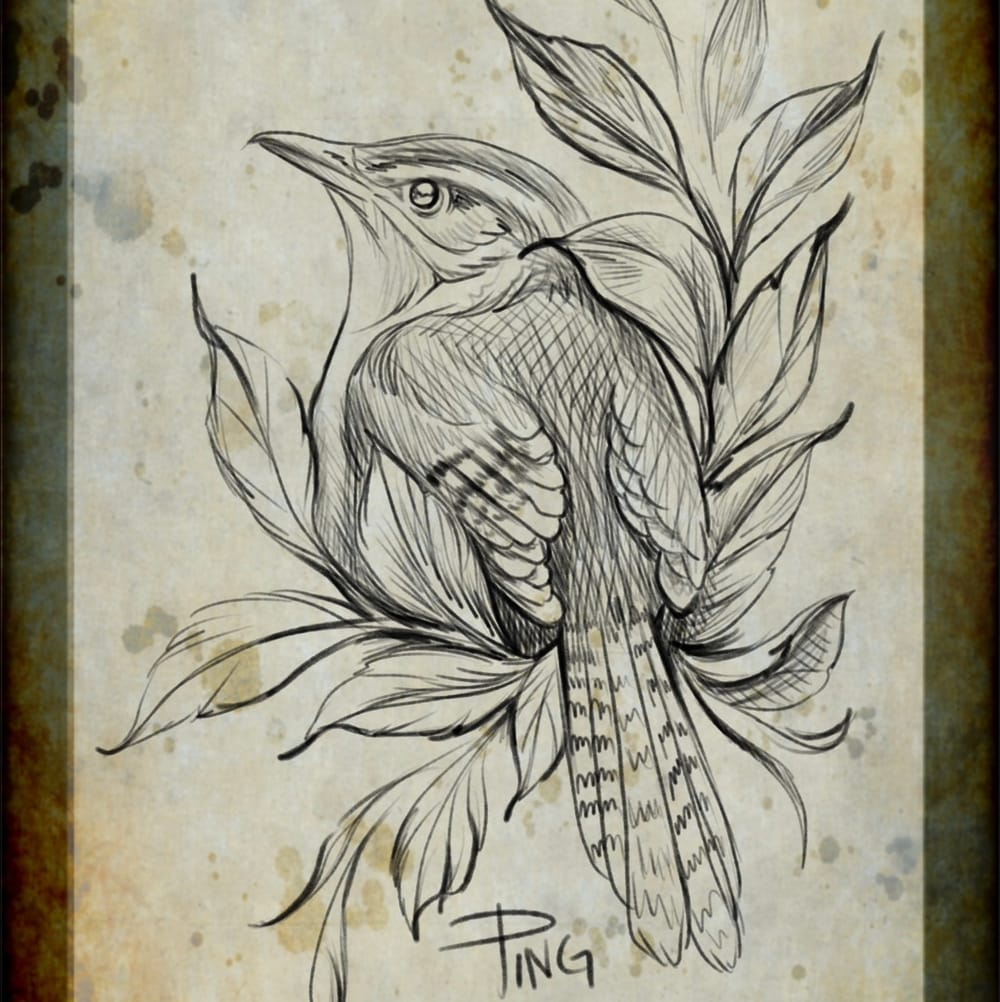 Carolina Wren
