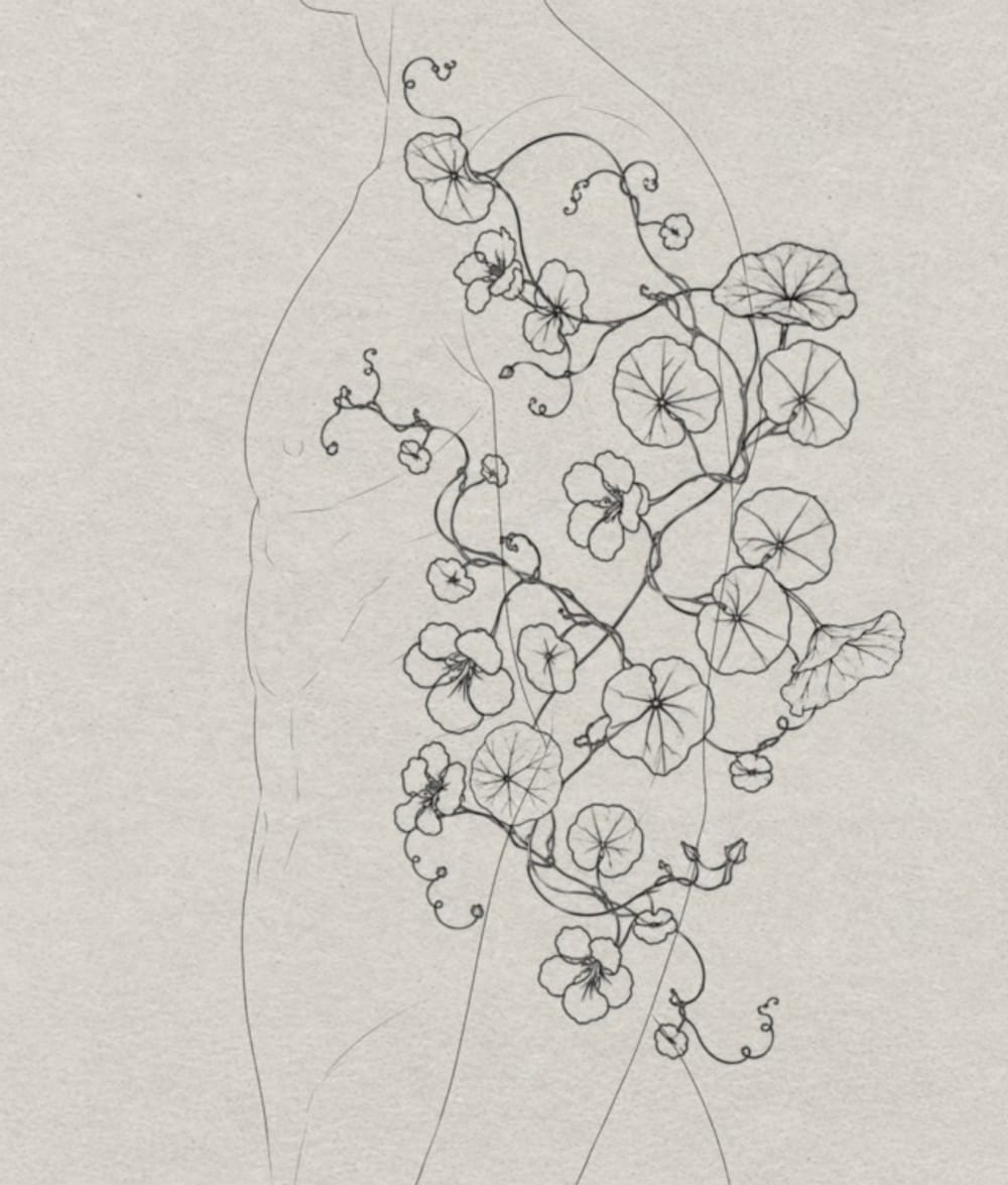 Nasturtium