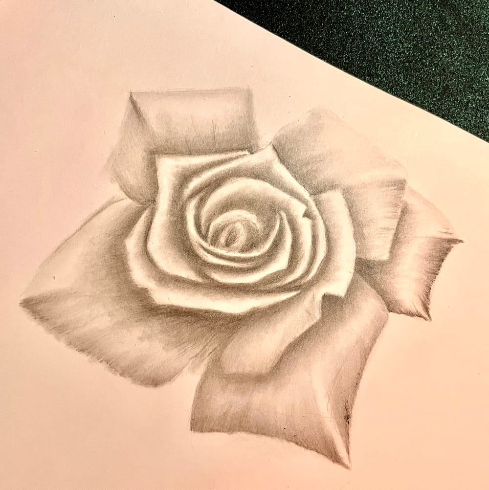 Soft Rose