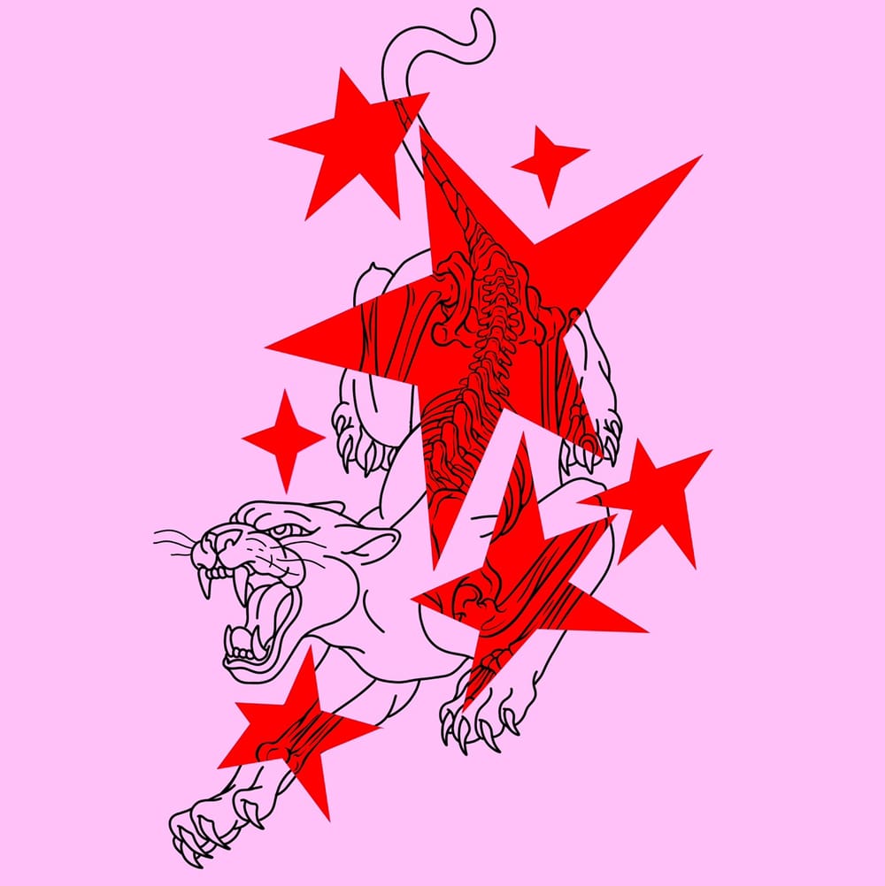 Xray Panther