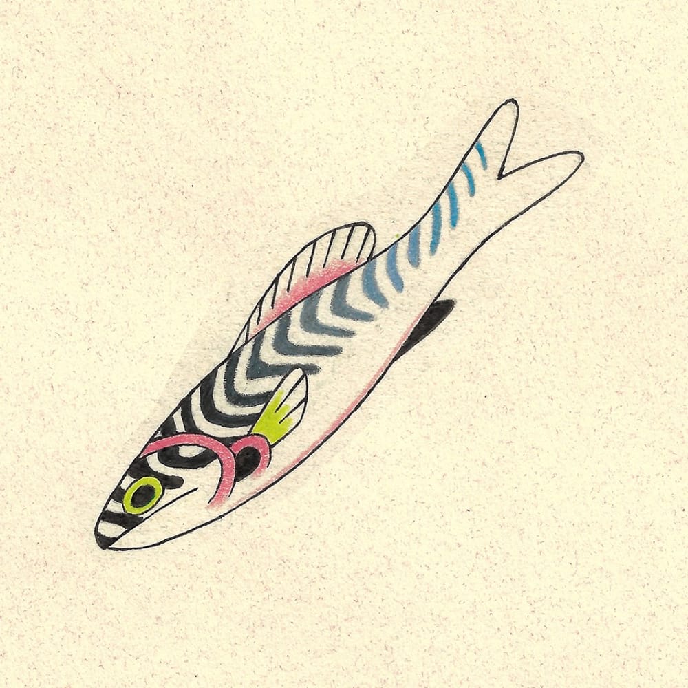Blue Striped Fish