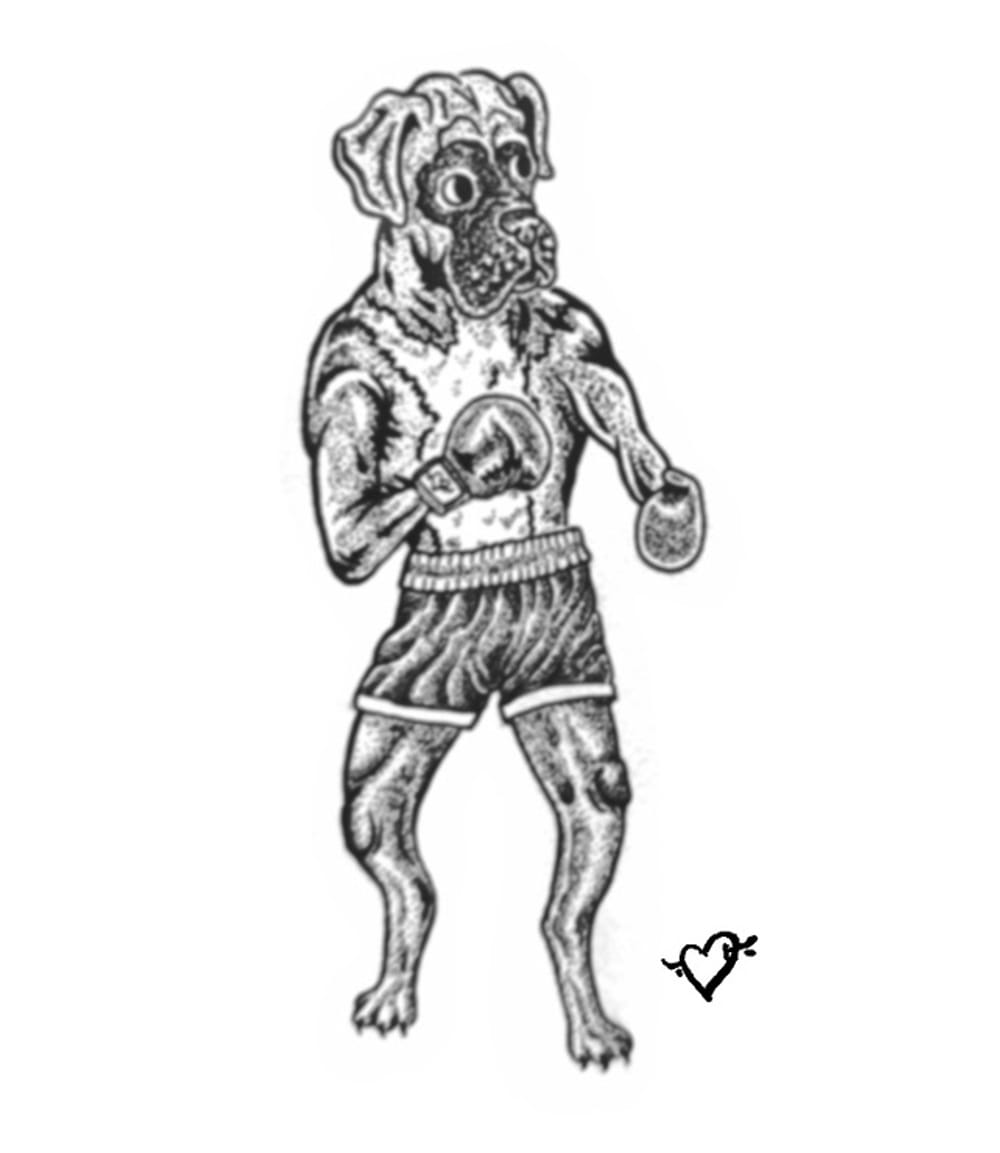 Boxing boxer 1