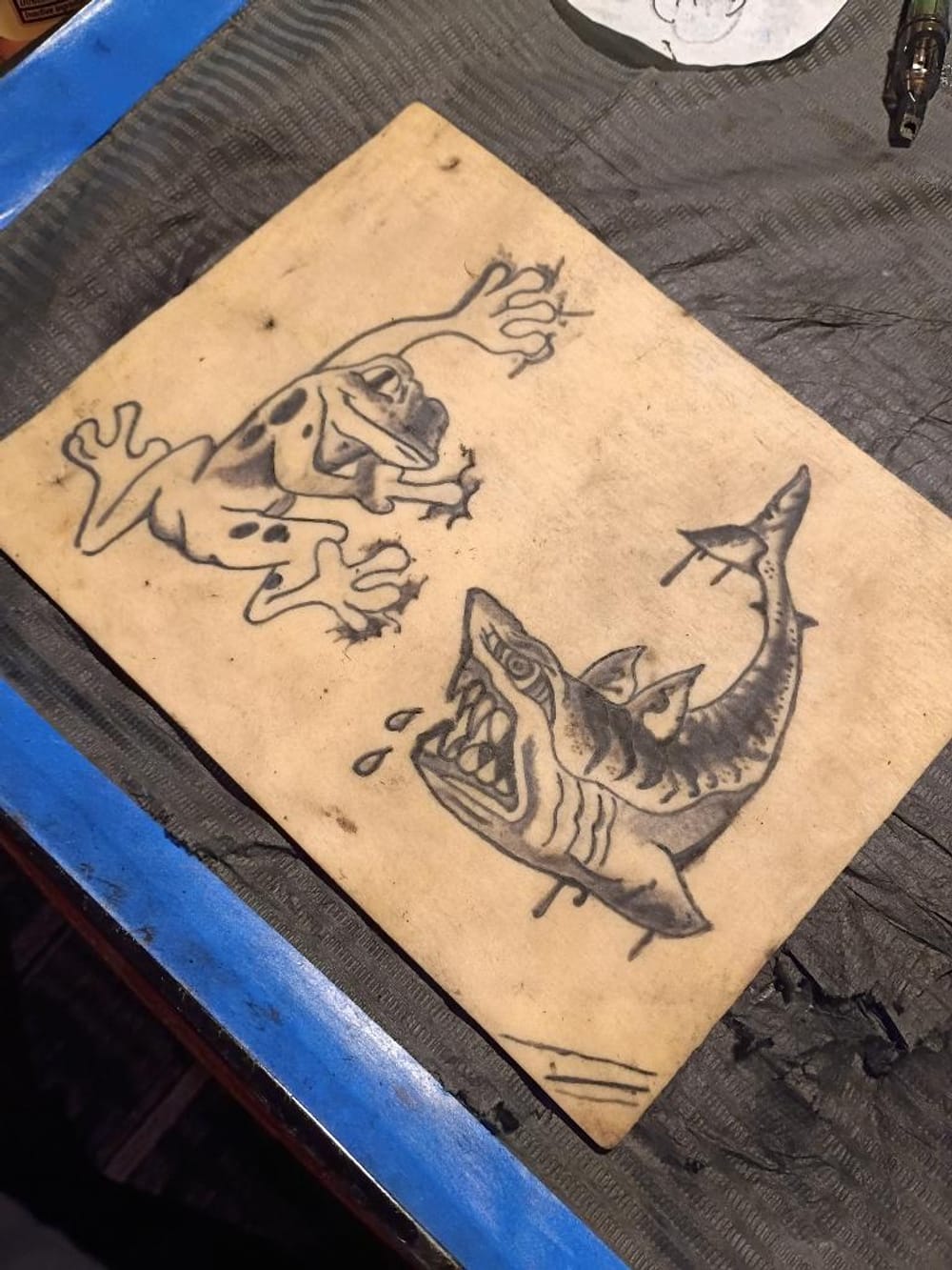 Shark/ frog