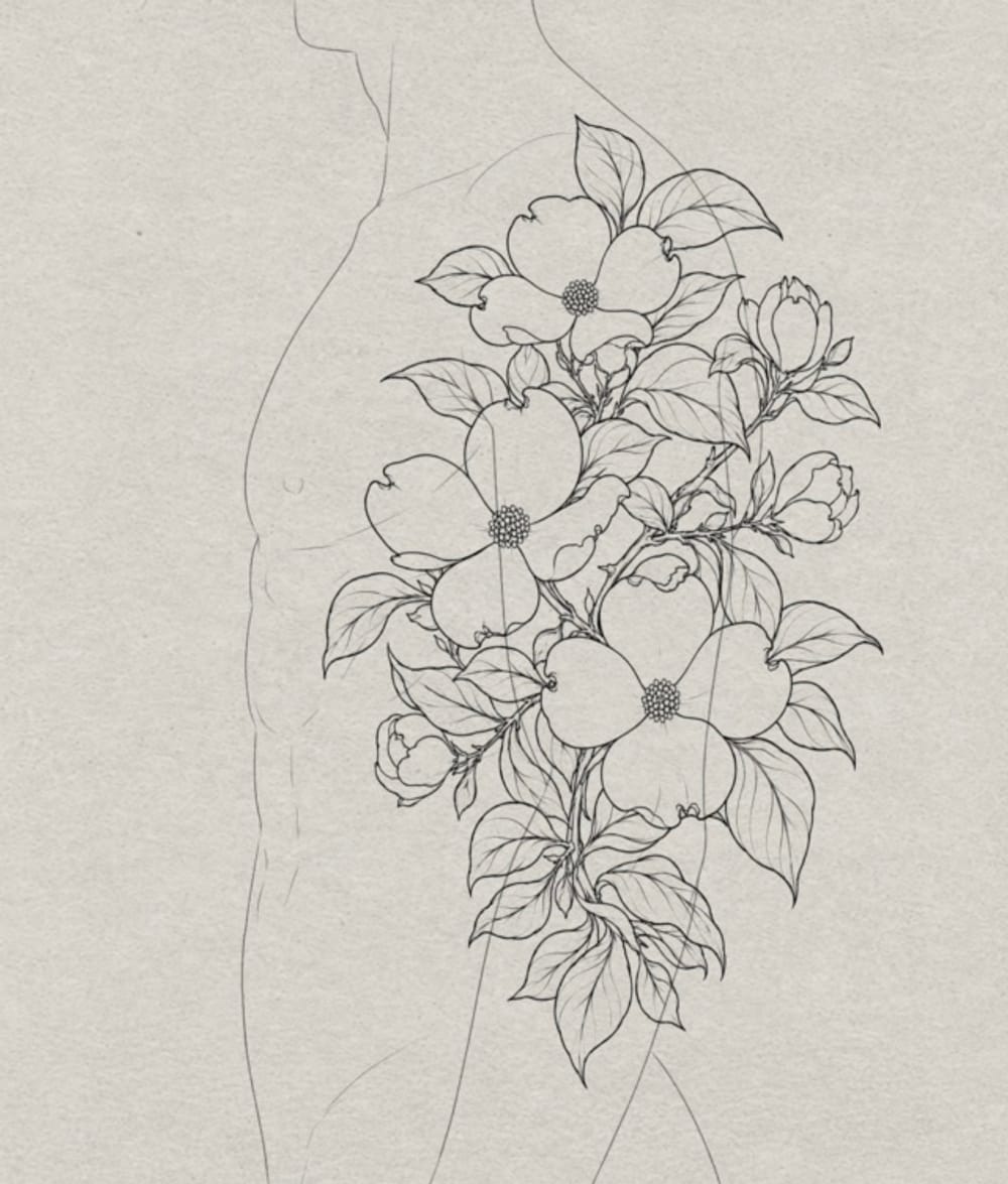 Dogwood 