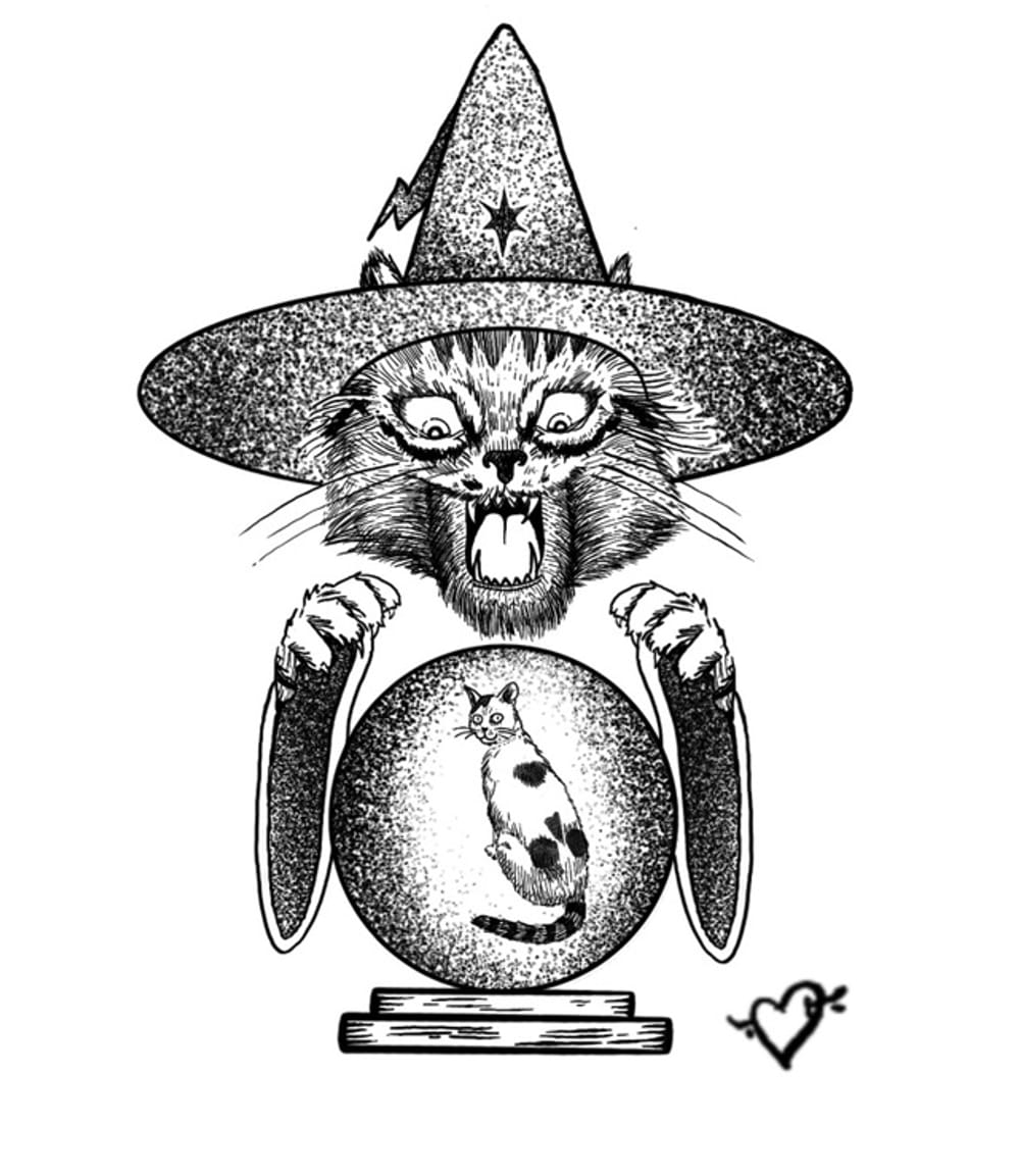Cat diary magic 