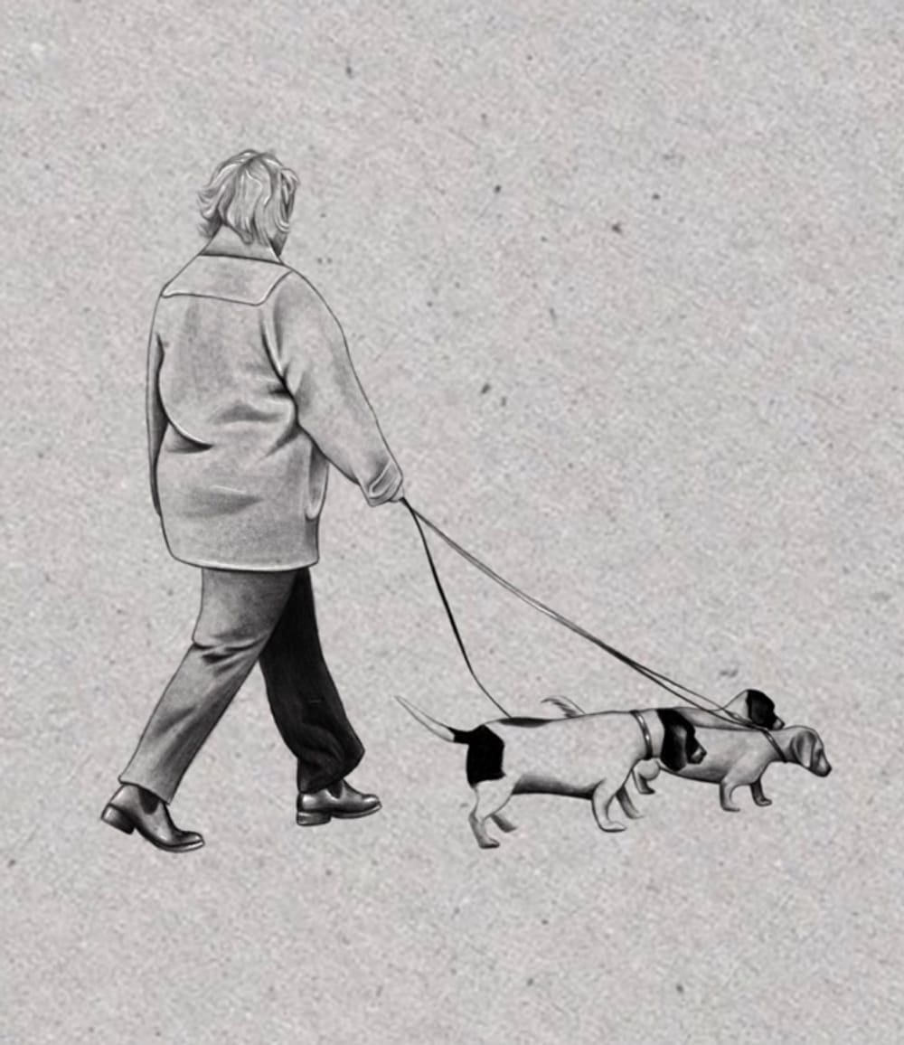 Lady walking 3 dogs