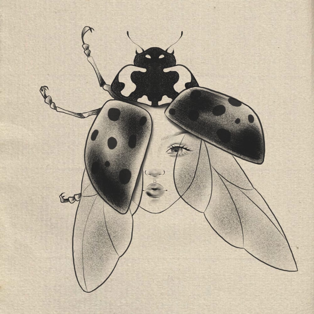 Ladybug Head