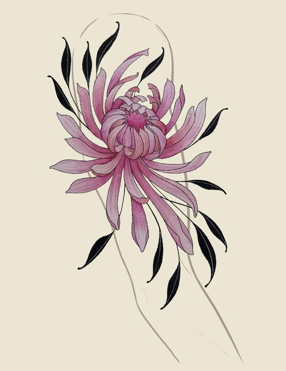 Chrysanthemum