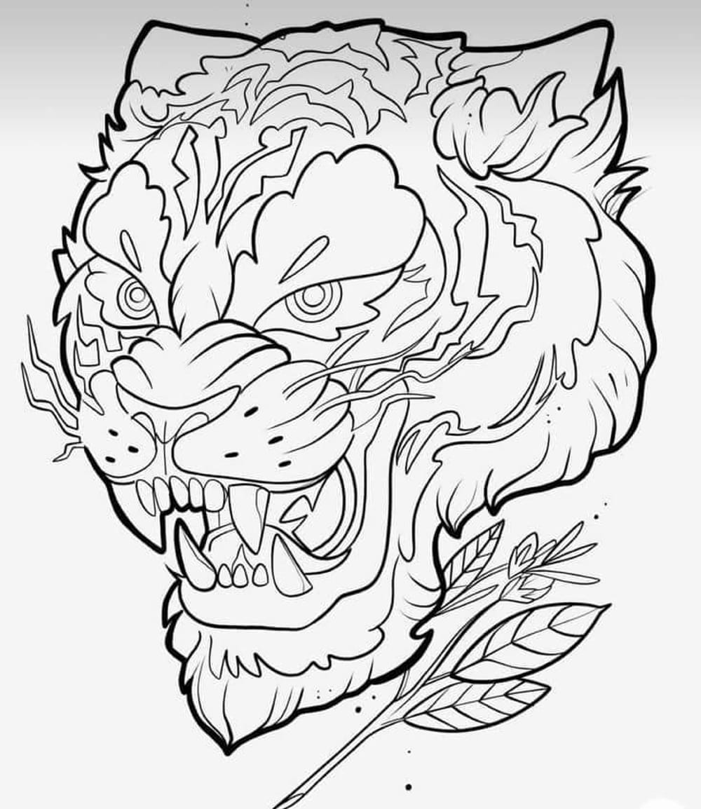 Furious tiger