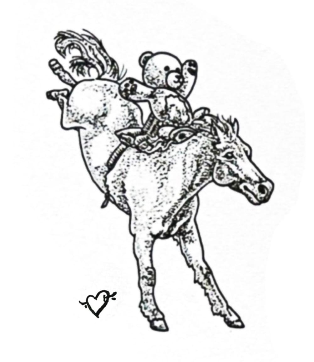 Cowboy teddy