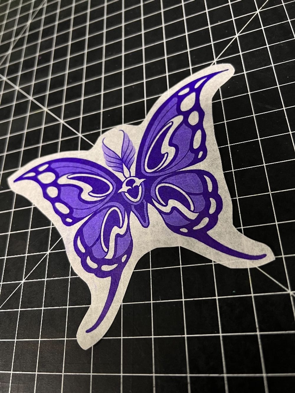 Ornate moth