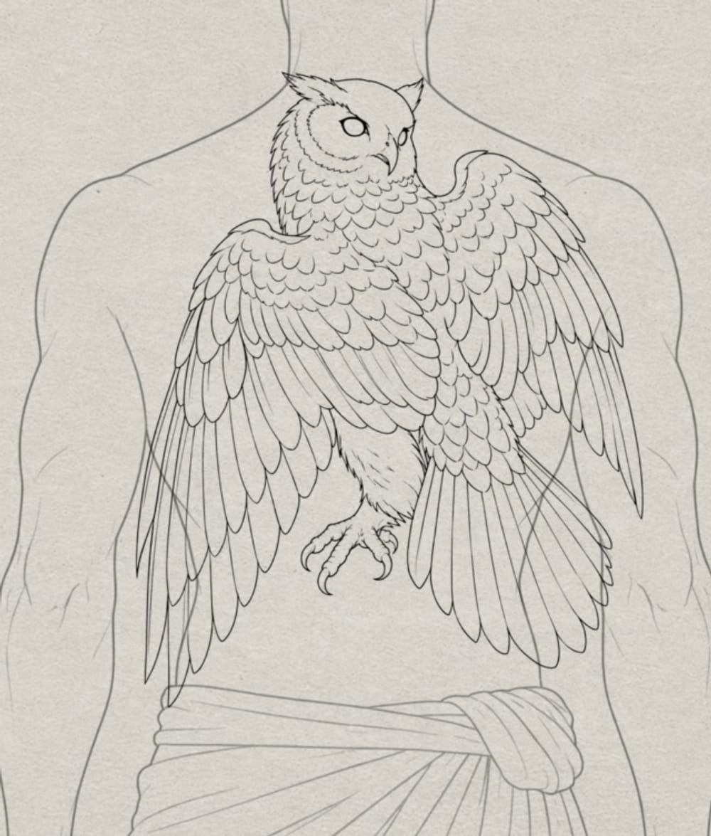 Owl