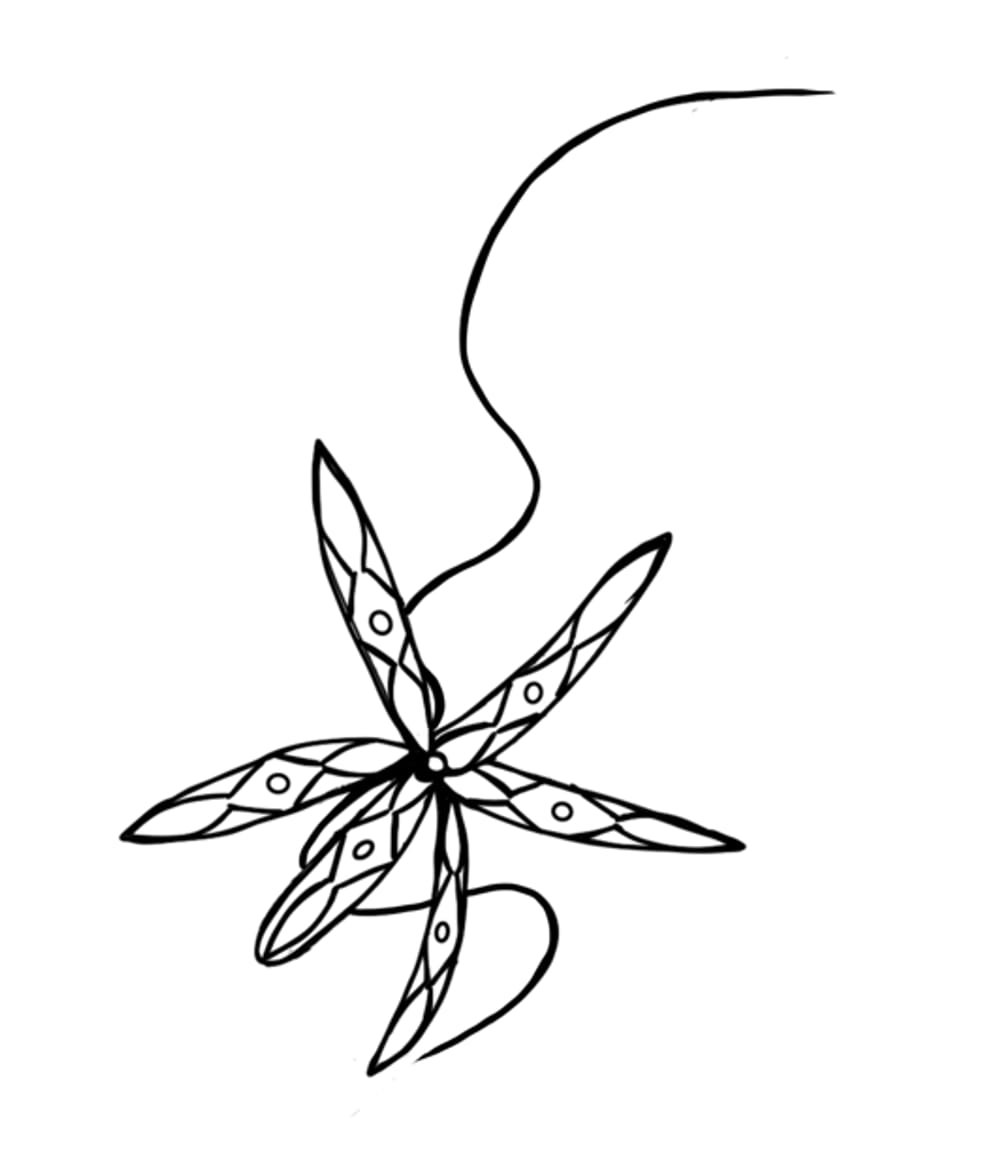 Sound Wave Orchid