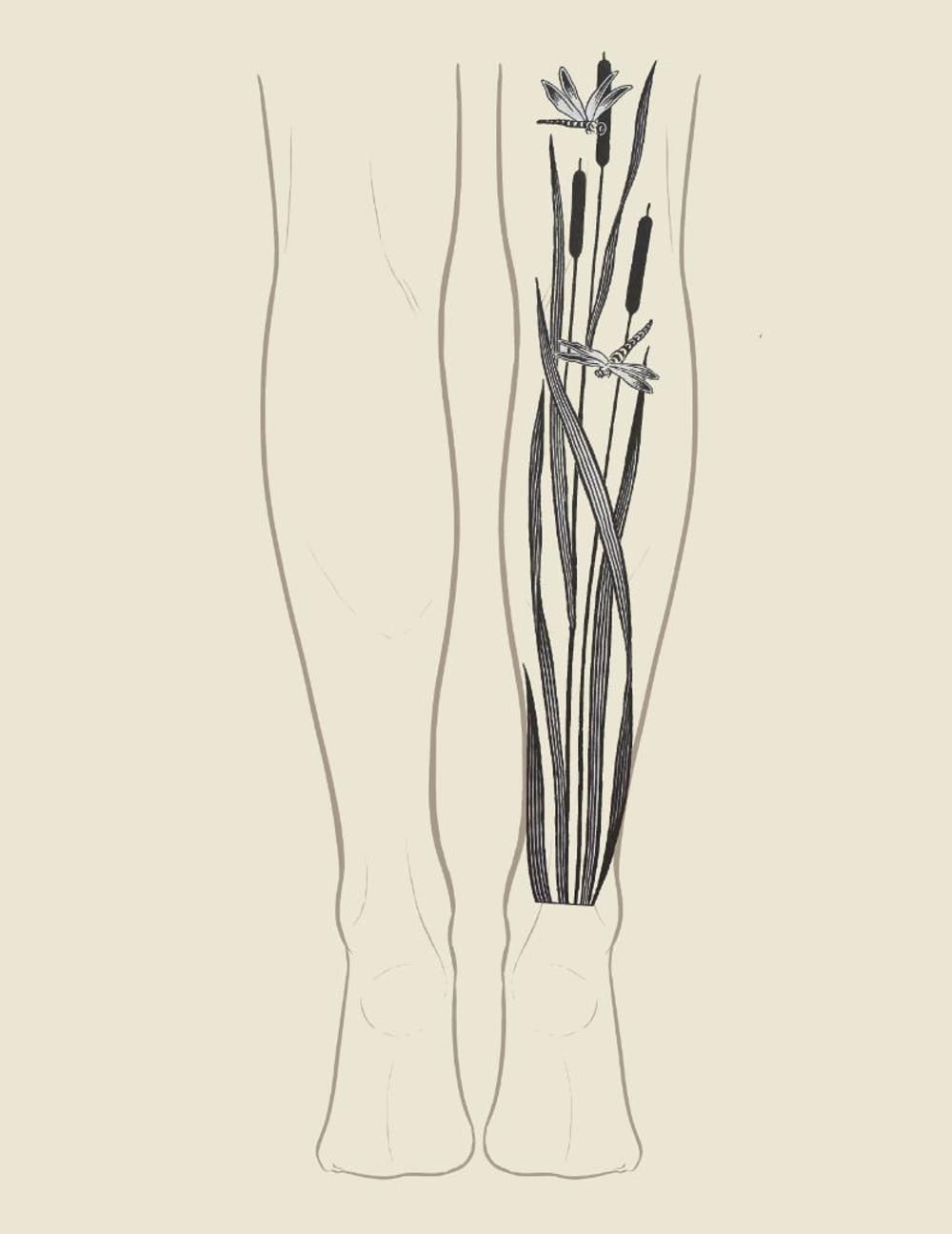 Cattails