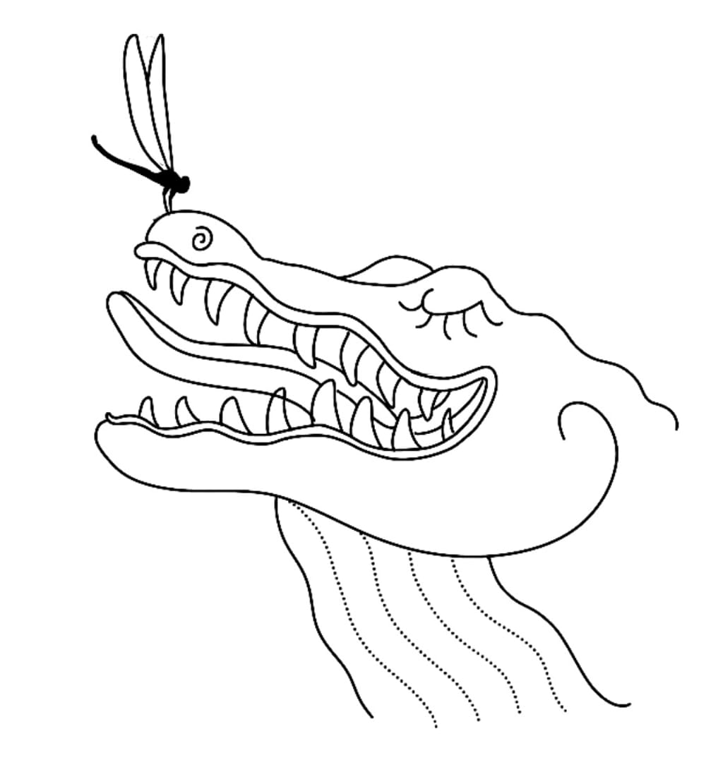Gator boop