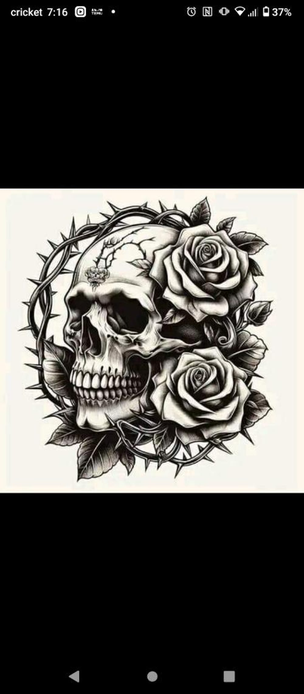 Skulls work