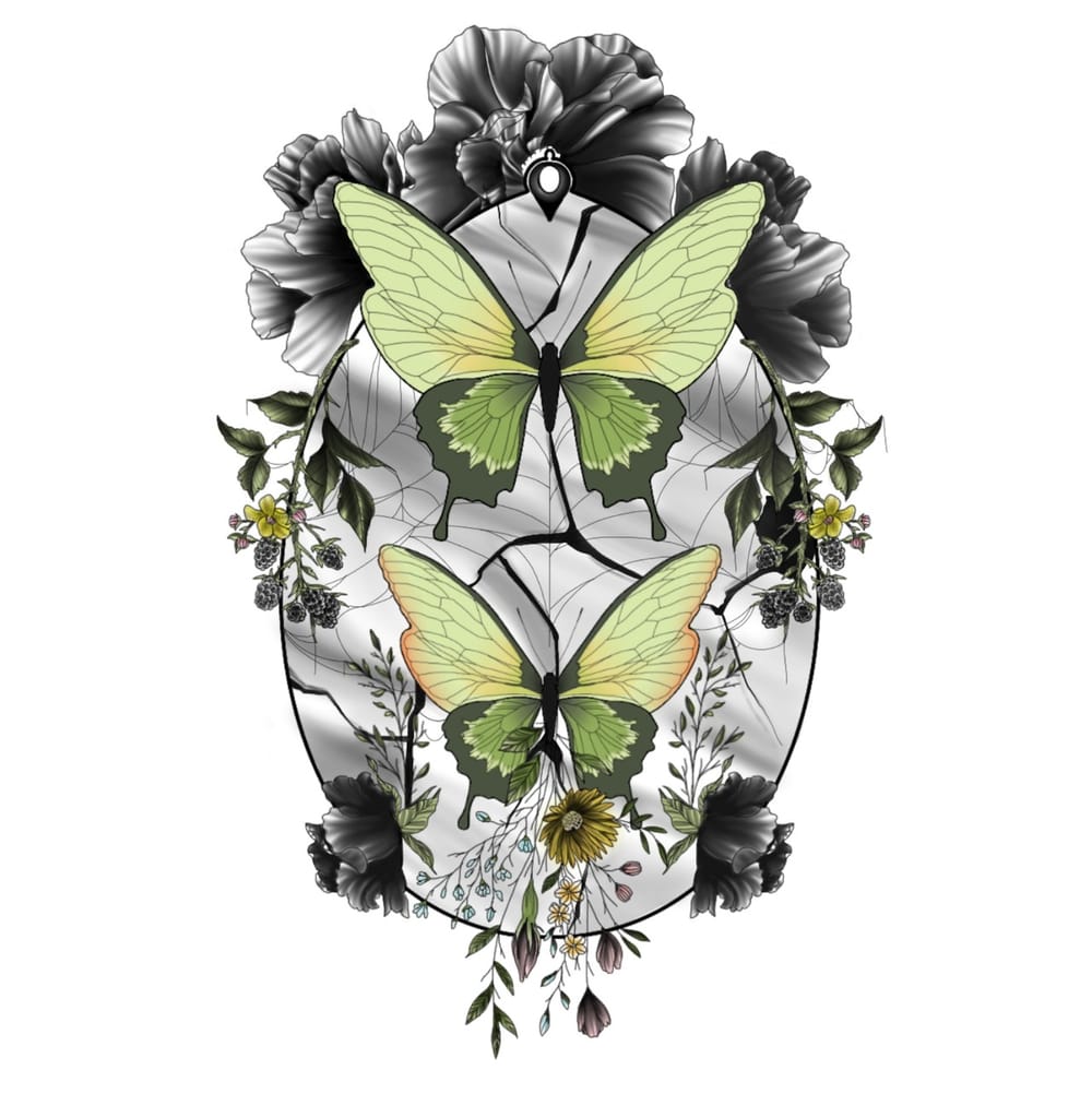 Butterflies 🦋