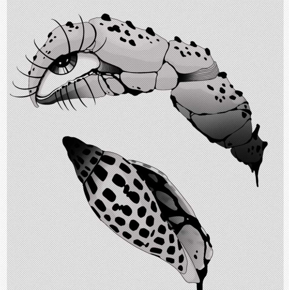 REPEATABLE Eye Claw or Drip Shell