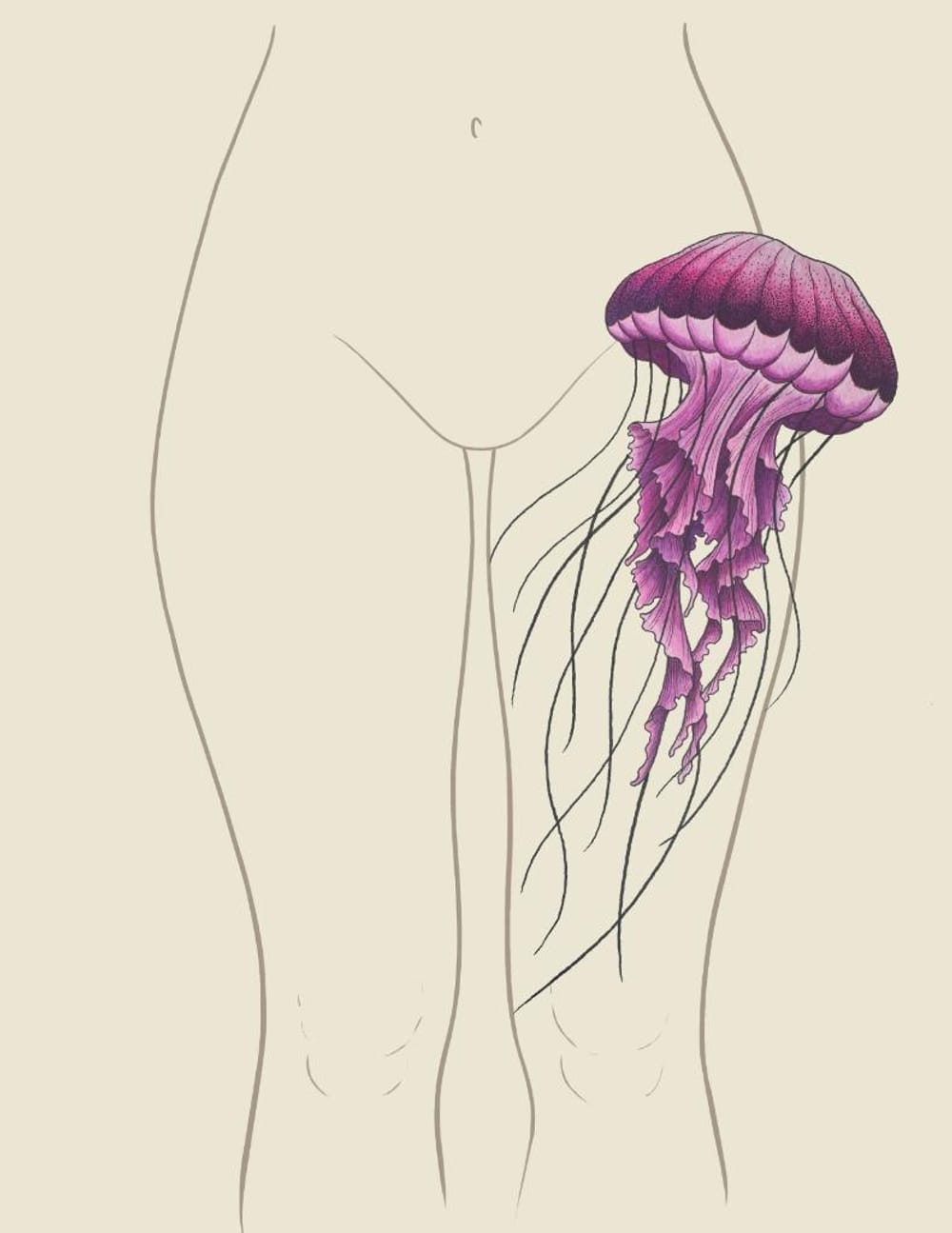 Jellyfish