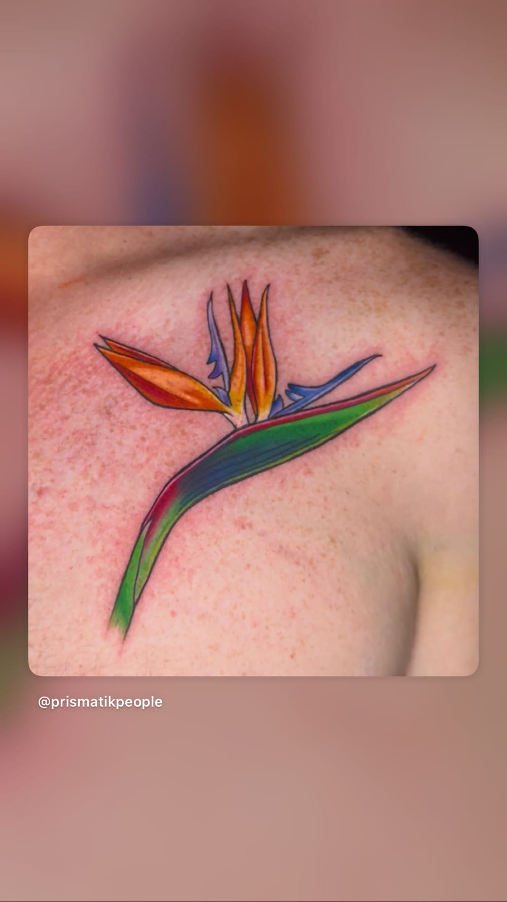 Tamara “T” Brennan — tattoo artist