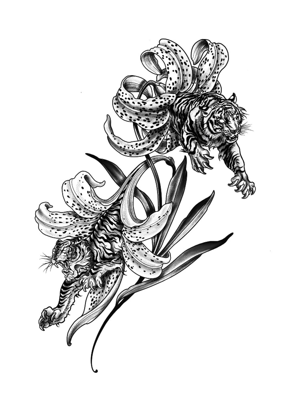 Tiger Lily 