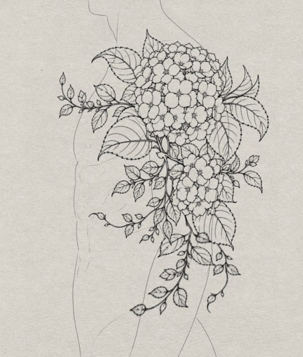 Hydrangea