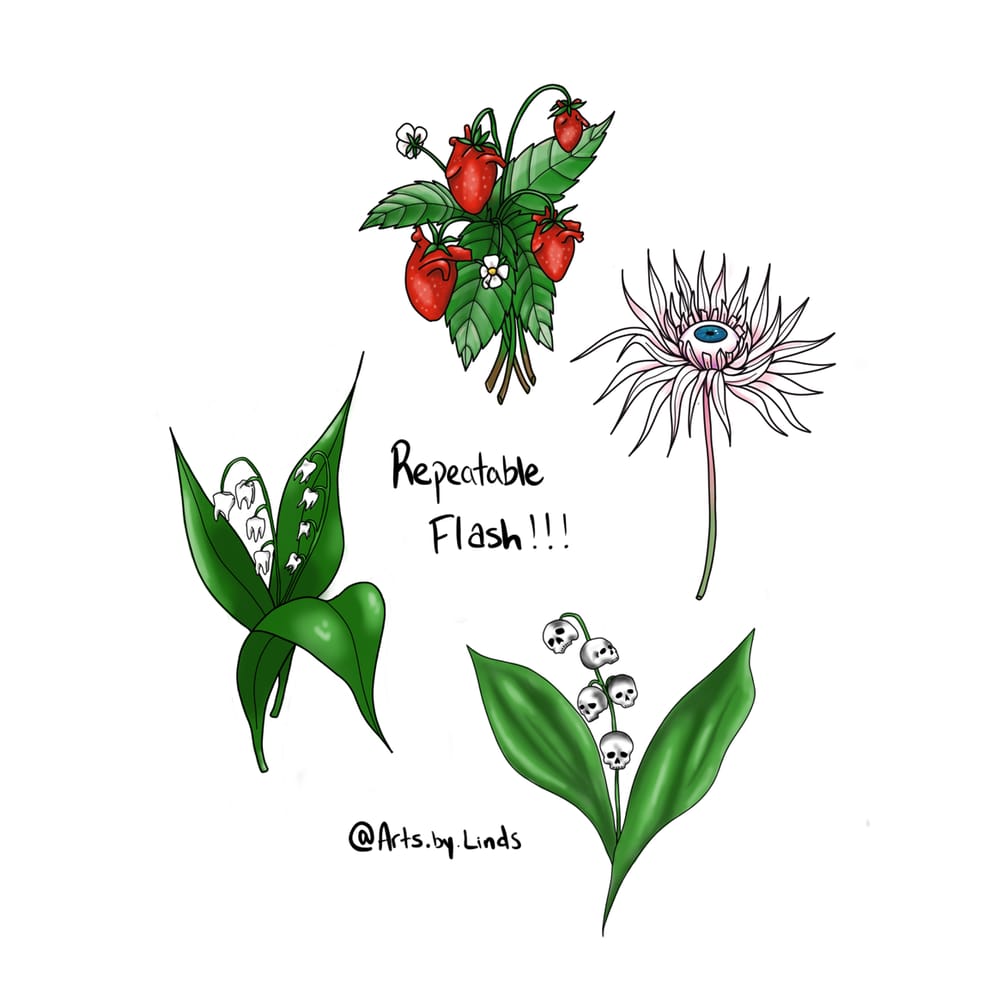Plant anatomy flash