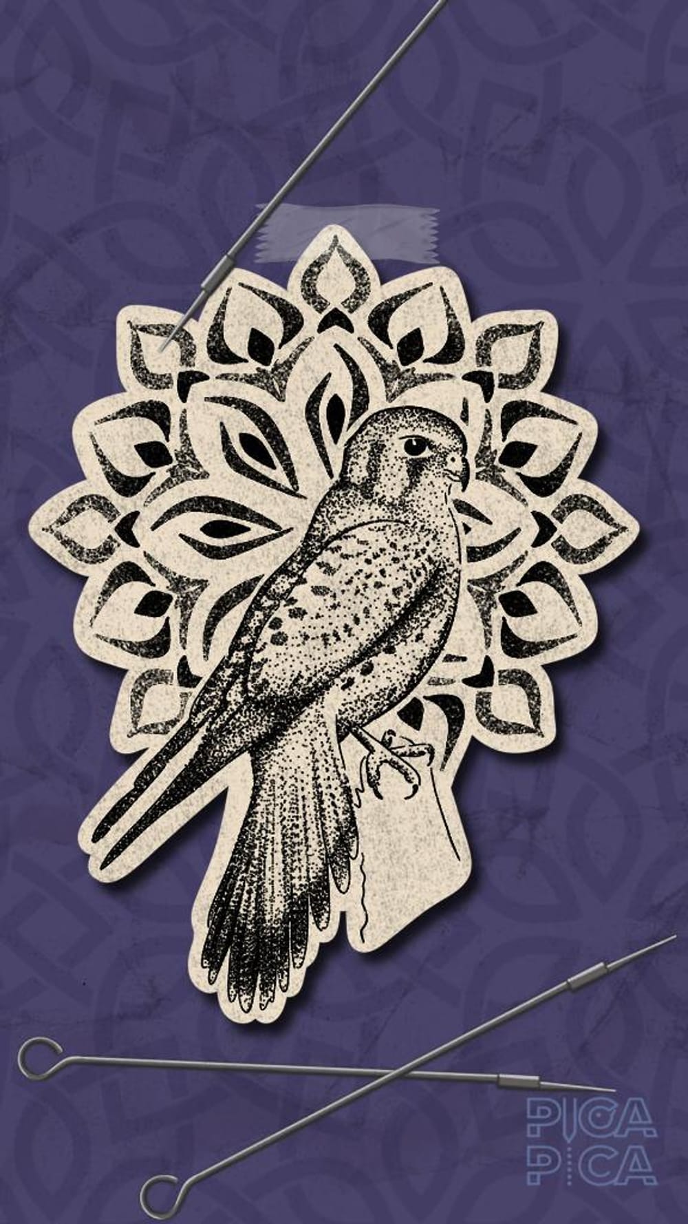 Common Falcon