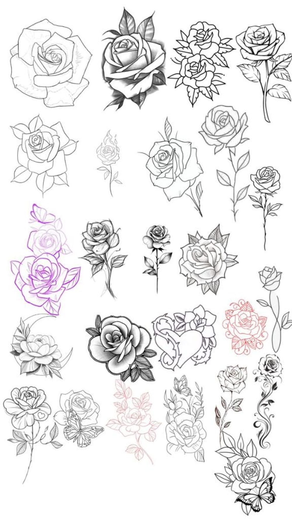 Roses 🌹 