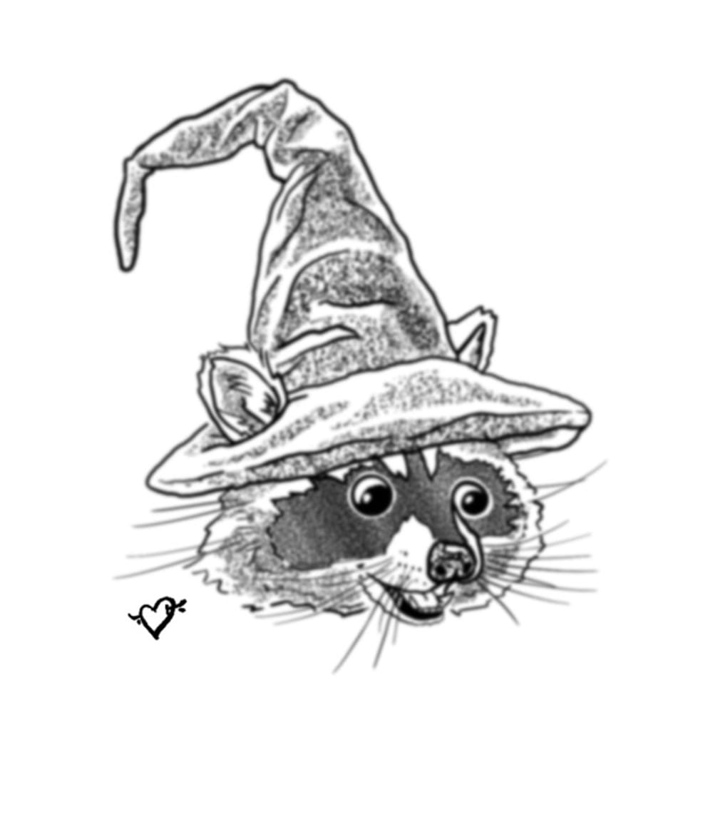 Raccoon Wizard