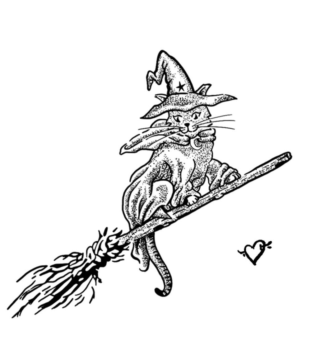 Wizard Kitty